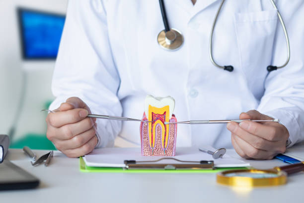 Best Emergency Wisdom Teeth Removal in Great Notch, NJ